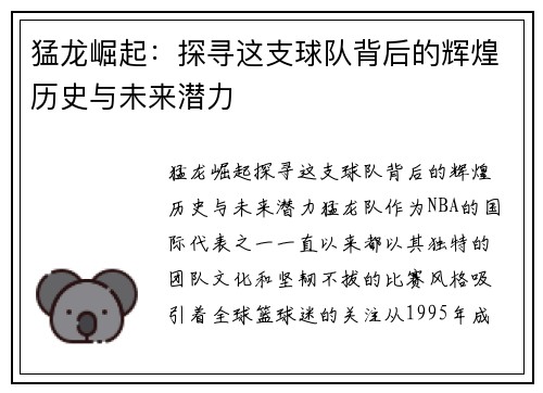 猛龙崛起：探寻这支球队背后的辉煌历史与未来潜力